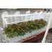 EZG Hybrid Aeroponics 7P